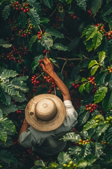 XÂY DỰNG THƯƠNG HIỆU THÀNH CÔNG CỦA HIGHLANDS COFFEE