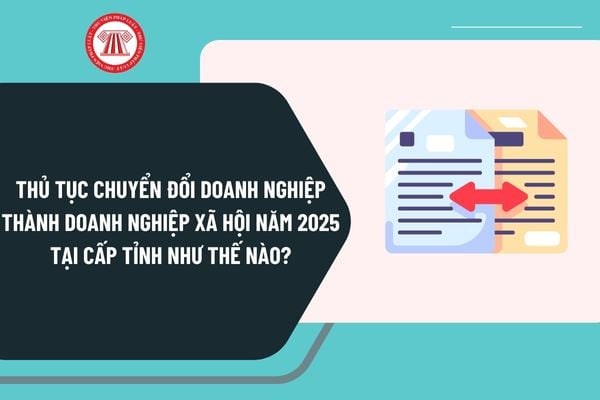 Thủ tục chuyển đổi doanh nghiệp thành doanh nghiệp xã hội năm 2025 tại cấp tỉnh như thế nào?