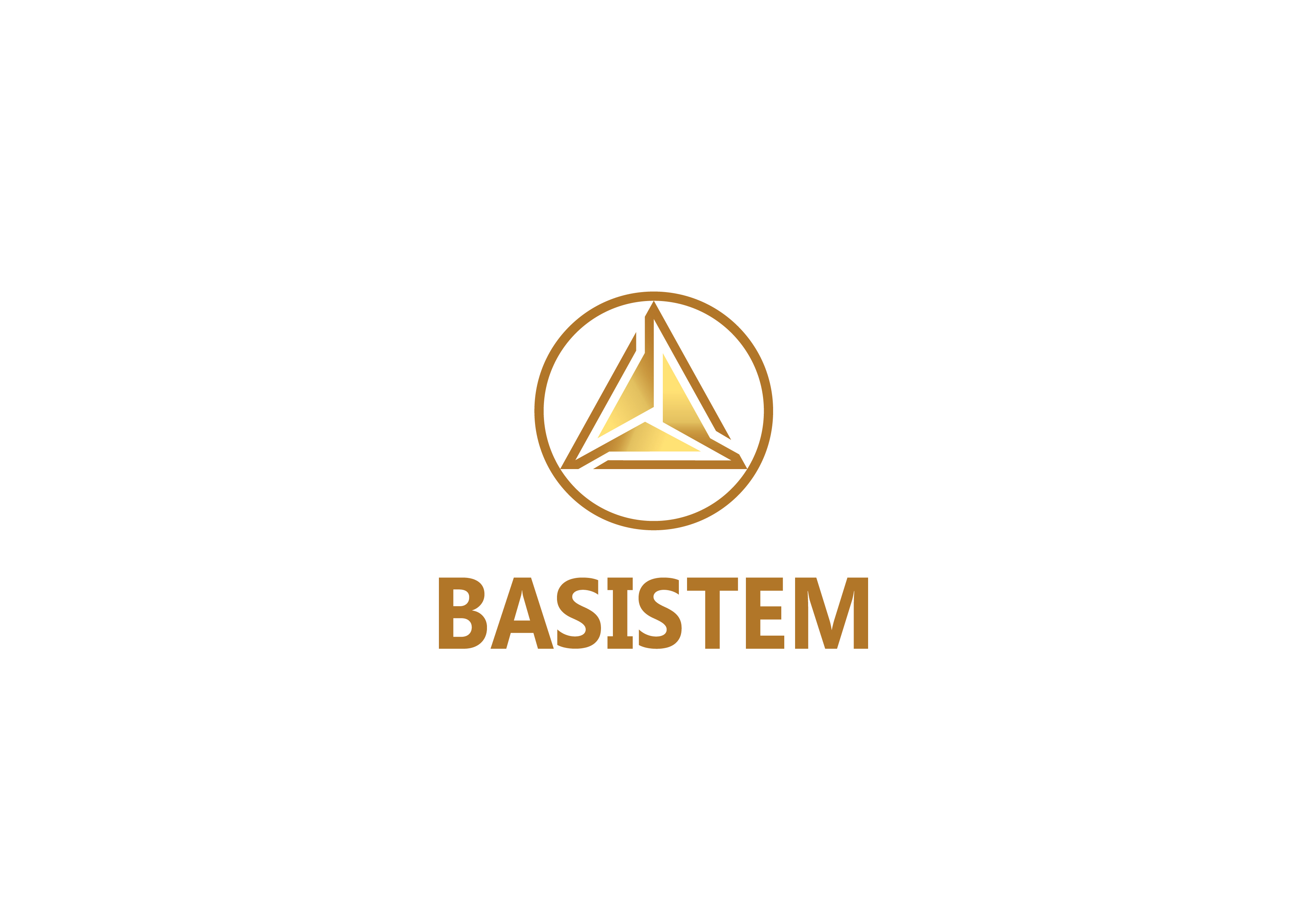 Basistem