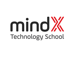 MINDX
